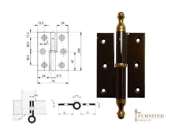 Эксклюзивная дверная петля карточная FS 231436 полированная латунь